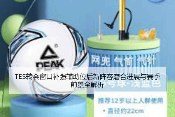 TES转会窗口补强辅助位后新阵容磨合进展与赛季前景全解析(KAIYUN)